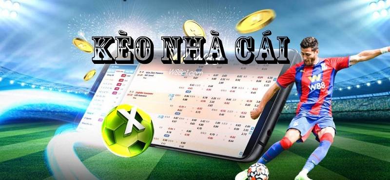 Mẹo cá cược bóng đá phân tích tài xỉu chuẩn xác cho hội viên